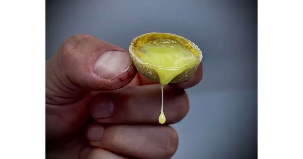 Připraveno k expedici - LK Baits Nutrigo Extra Cheese