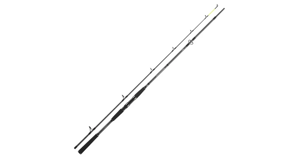 Snadný nákup | Daiwa - Seahunter X 2.60m 60-180g