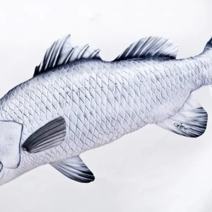 Gaby Polštář Okoun Barramundi - Giant 95 cm | Velmi oblíbený produkt