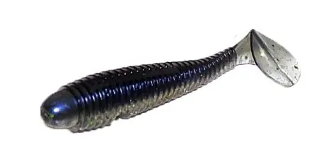 ZFISH WORMY SHAD 9,5cm - 4ks - C10 | Žádaný produkt