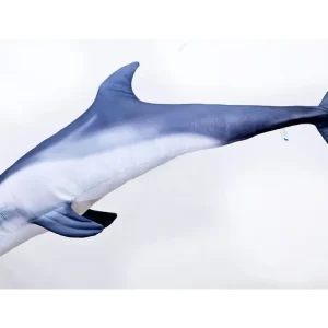 GABY polštář Delfín 125cm - Nově přidáno
