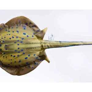 Poslední dny akce - GABY polštář Rejnok 50cm