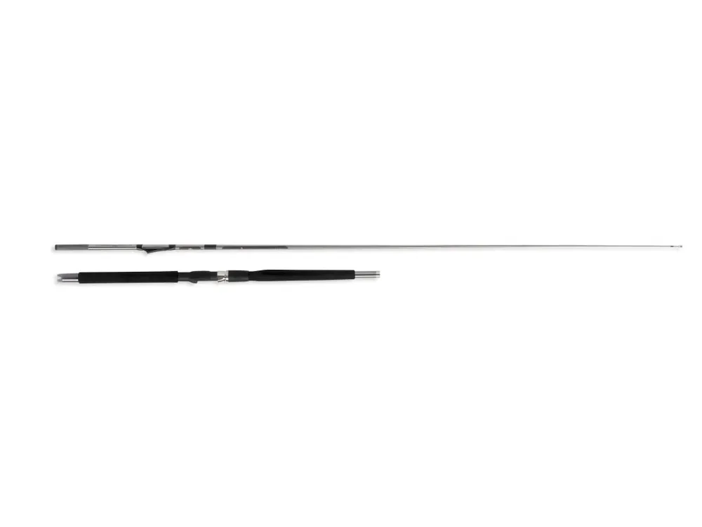 Objednejte nyní - WFT prut Prion In Line 2.10m 400-900g