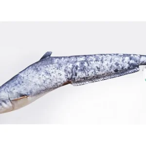 Nejlepší cena - Gaby Polštář Sumec Malý - 62 cm