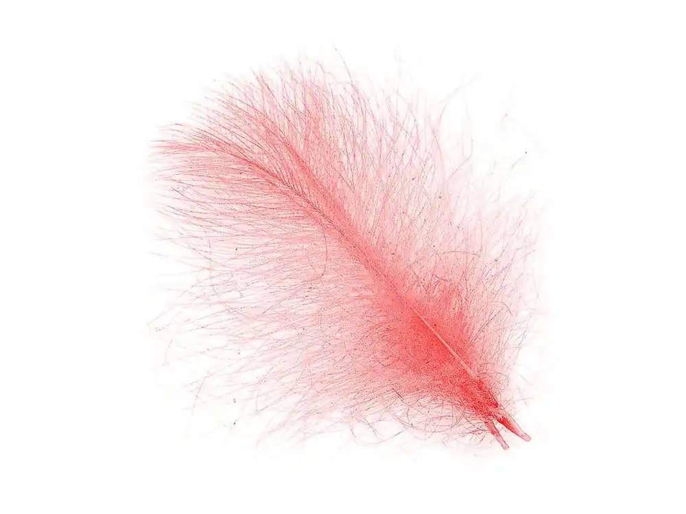 Právě dorazilo | Hends CDC Peří Feathers Salmon 1g
